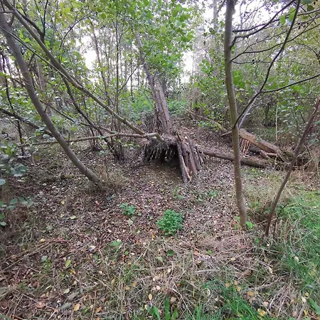 8 Person In Dannemare-by Traum Feriehus