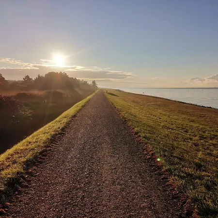 8 Person In Dannemare-by Traum