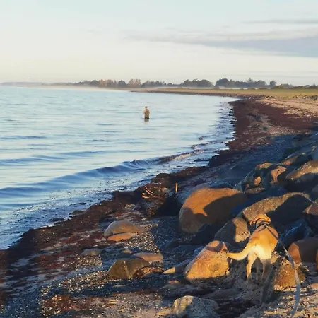 Feriehus 8 Person In Dannemare-by Traum Dannemare