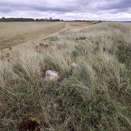 8 Person In Dannemare-by Traum *