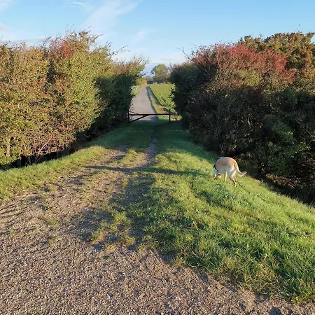 8 Person In Dannemare-by Traum