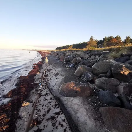 Feriehus 8 Person In Dannemare-by Traum