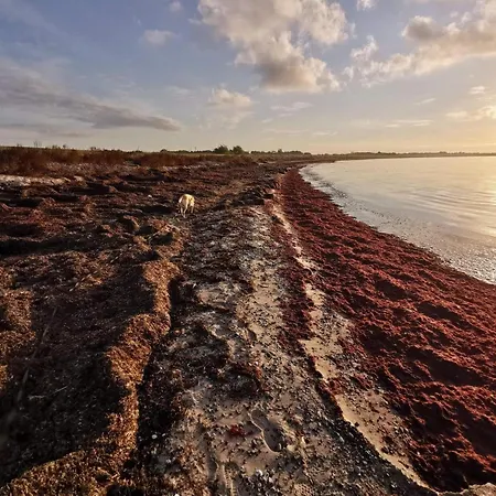 8 Person In Dannemare-by Traum Feriehus Dannemare